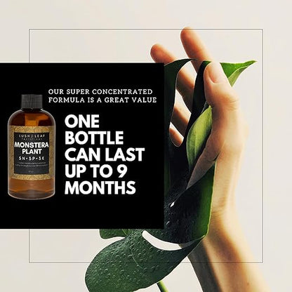 Lush Leaf | Plant Food (Monstera)