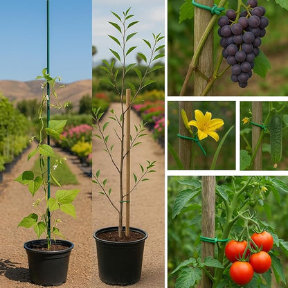 GiftExpress 32.8ft Garden Wire Soft Tie 32.8', Garden Plant Support for Tomatoes, Grapes, Vine Plants, Green House, Soft Twist Ties for Small Tree Against Wind