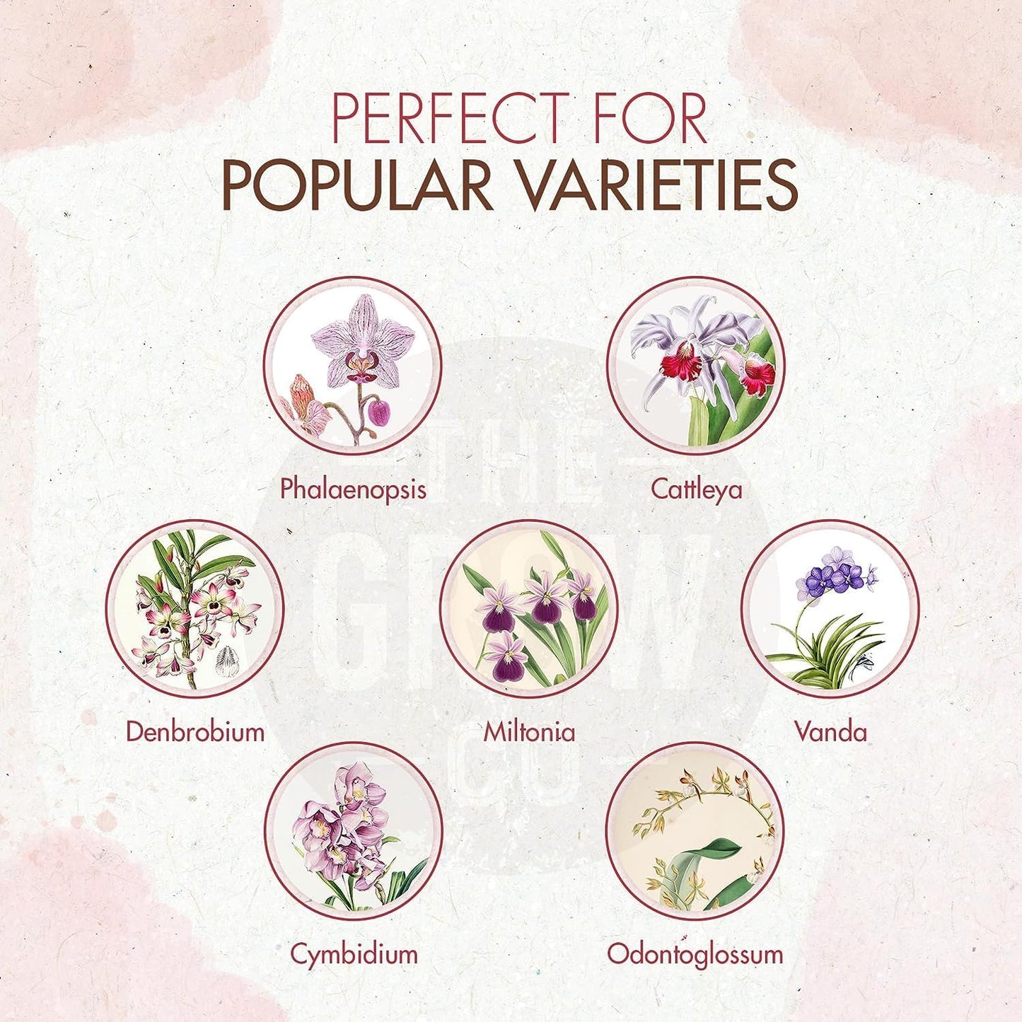 Orchid Plant Food (5 oz, 50+ Applications) - Bloom Booster Fertilizer Pellets for Orchids in Pots - Slow Release Nutrients for Healthy Flower & Reblooms