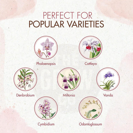 Orchid Plant Food (5 oz, 50+ Applications) - Bloom Booster Fertilizer Pellets for Orchids in Pots - Slow Release Nutrients for Healthy Flower & Reblooms