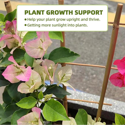 16Inch 5Pack Bamboo Trellis for Climbing Plants, Garden Ladder Trellis for Potted Plants Indoor, Fan Shaped Small Plant Support Trellis for HousePlants Ivy Vine Monstera 3-4