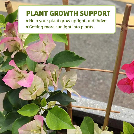 Bamboo Trellis for Climbing Plants 20 Pack, 16 Inch Garden Ladder Trellis for Potted Plants Indoor, Small Plant Support Trellis for Houseplants Vine