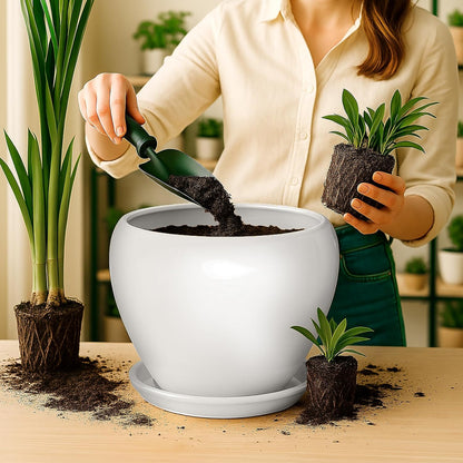 Deep Dream 10 Inch Plant Pot- Ceramic Planter Pot Round Plant Pots for Indoor Plants Outdoor Large Flower Pot with Drainage Holes & Trays, White