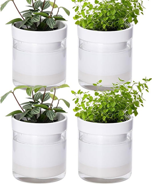Phoenix Vine 4 Inch Self Watering Planter, White Terracotta Clay Pot with Glass Reservoir for Indoor Plants, Herbs, Flowers, Set of 4, 52-B-E-4