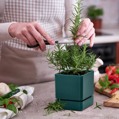 4 Inch Herb Planter Pot, Plastic Planter with Drainage Holes and Saucer, Modern Decorative Gardening Pot for Indoor Plants, Flowers, Herbs, Succulents, Green, Set of 2, 76-Y-C-2