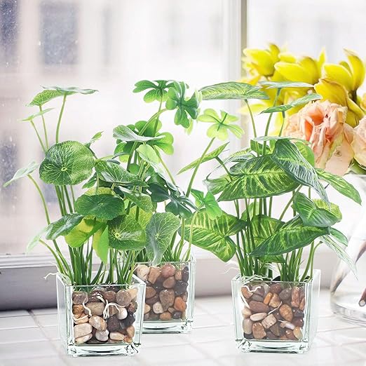 5 Pound Decorative Rocks for Planters, 1"- 1 1/2", Pebbles for Indoor Plants, Vases, Polished Stones for Garden and DIY Decor