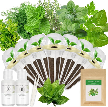 Gourmet Herb Seed Pod Kit for AeroGarden, idoo, Ahopegarden, MUFGA with Basil, Parsley, Thyme, Mint, Cilantro, Dill, Oregano - Compatible with All Hydroponics (7-Pod)