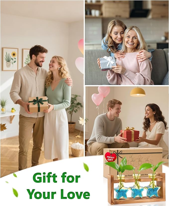 Nacome Star Glass Propagation Stations: Plant Terrarium with Wooden Stand Vase for Home Office Desk Decor, Unique Gifts for Plant Lovers Women Mom (Yellow)