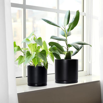 D'vine Dev Black Terracotta Pots for Plants, 4.2 Inch 5.3 Inch 6.5 Inch, Succulent Planter Pot with Drainage and Saucer, 40-T-A-2