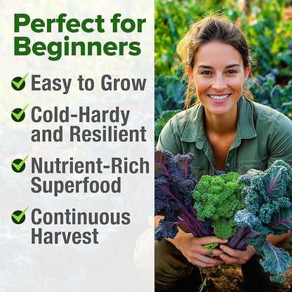 HOME GROWN 𝗨𝗦𝗔 𝗣𝗥𝗘𝗠𝗜𝗨𝗠 Heirloom Vegetable Seeds 𝗡𝗢𝗡-𝗚𝗠𝗢 Vegetable Seeds for Planting Home Garden, Beans, Carrots, Peppers, Cucumber, Kale, Pepper Seeds, Tomato (4 Kale)