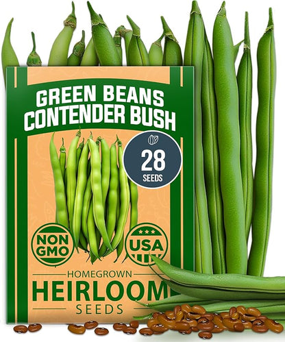 HOME GROWN 𝗨𝗦𝗔 𝗣𝗥𝗘𝗠𝗜𝗨𝗠 Contender Bush Bean Pack - 28 𝗡𝗢𝗡-𝗚𝗠𝗢 Heirloom Green Beans, Vegetable Seeds for Planting, Emergency Food Supply (Phaseolus vulgaris)