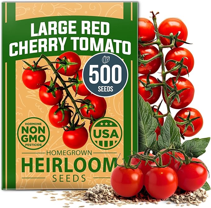 HOME GROWN Large Red Cherry Tomato Seeds Pack– 500 High Germination Heirloom Seeds – 𝗡𝗢𝗡-𝗚𝗠𝗢 𝗨𝗦𝗔 Vegetable Seeds for Garden,Homestead & Self-Sufficient Growing(Solanum lycopersicum)