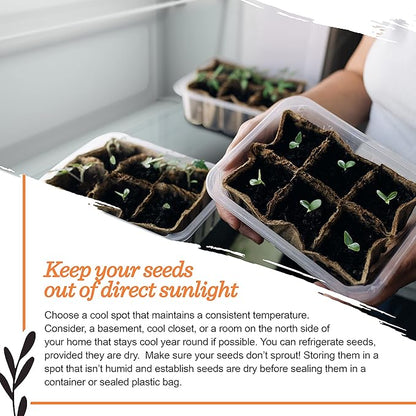 Bentley Seed Medicinal Herbs Starter Kit – Non-GMO Seeds for Indoor Planting - Heirloom Seed Packets - Individual Packets for Chamomile, Lavender, Catnip, Mint, Bee Balm, Lemon Balm, Purple Cone