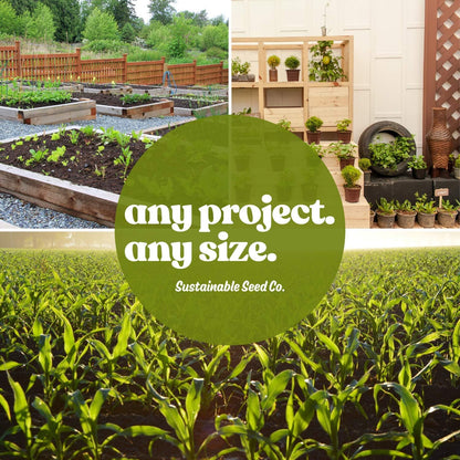 Handy Pantry Black Plastic Garden Tray Inserts - 20 Sheet of 48 Planting Pot Cells Each - 2x3 Nested x8 Configuration - Perforated - Nursery, Greenhouse, Gardening