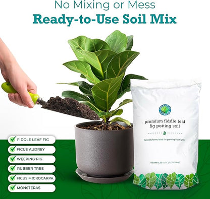 100% Organic Fiddle Leaf Fig Soil – Optimally-Draining Potting Mix for Healthy Roots, Fewer Brown Spots & Faster Growth | Enriched with Biochar & Bark | Made in USA | Large 7.5L Bag