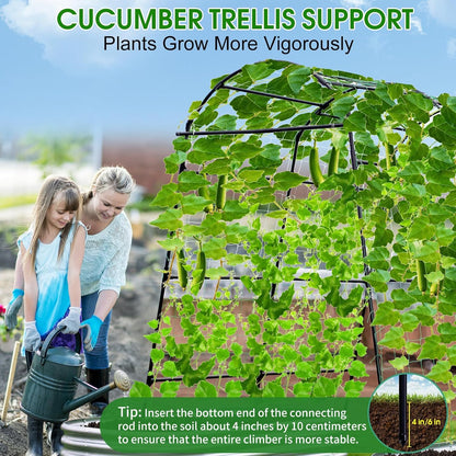 Lalahoni Garden Arch Trellis for Climbing Plants Outdoor, 7.8 Feet Tall Metal Large Archway Arbor Trellis Vine Plant Vegetables Squash Pumpkin Peas Beans Cucumber for Garden Raised Bed, Black