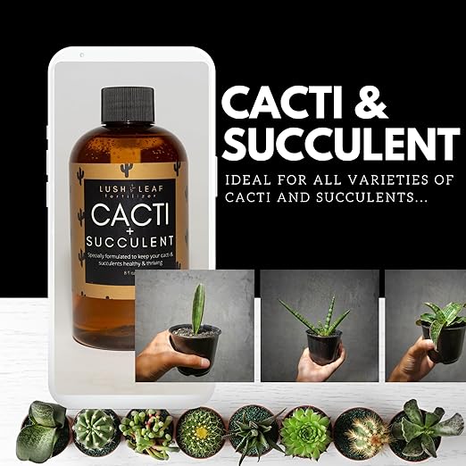 Lush Leaf | Plant Food (Cacti Succulent)