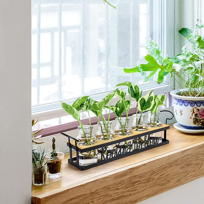 THYGIFTREE Plant Propagation Stations, Mothers Day Plant Lover Gifts for Mom Women Rooting for You Propagate Jars for Hydroponic Cuttings Propagating Vase