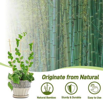 Avalution 10 Pack Bamboo Trellis for Climbing Plants, 2 FT Garden Ladder Trellis for Potted Plants Indoor, Fan-Shaped Small Plant Support Trellis for Houseplants Ivy Hoya Vine Monstera