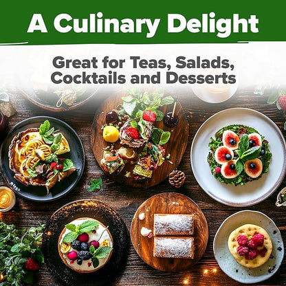 HOME GROWN 𝗨𝗦𝗔 𝗣𝗥𝗘𝗠𝗜𝗨𝗠 Peppermint Seeds Pack – 2,370 𝗡𝗢𝗡-𝗚𝗠𝗢 Heirloom Mint Seeds for Planting. Grow Peppermint Plants in Your Herb Garden Indoors or Outdoors (Mentha x piperita)