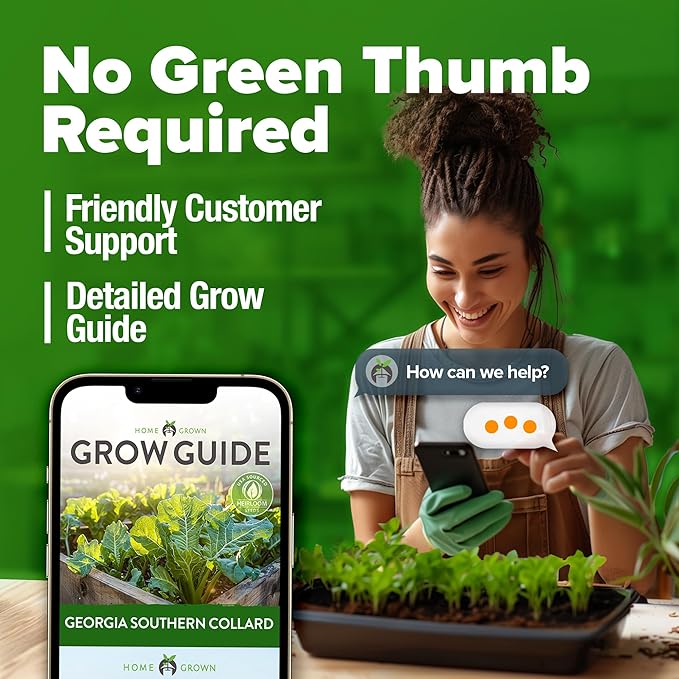 HOME GROWN 𝗨𝗦𝗔 𝗣𝗥𝗘𝗠𝗜𝗨𝗠 Collard Greens Georgia Southern - 300 High Germination 𝗡𝗢𝗡-𝗚𝗠𝗢 Heirloom Seeds for Planting in Your Vegetable Garden (Brassica oleracea)