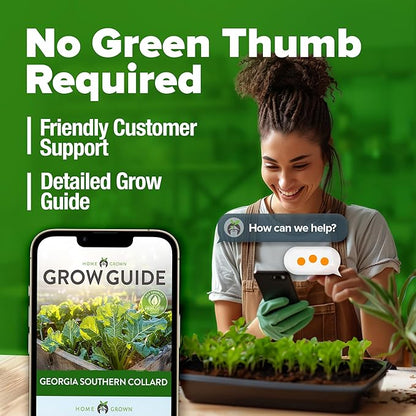 HOME GROWN 𝗨𝗦𝗔 𝗣𝗥𝗘𝗠𝗜𝗨𝗠 Collard Greens Georgia Southern - 300 High Germination 𝗡𝗢𝗡-𝗚𝗠𝗢 Heirloom Seeds for Planting in Your Vegetable Garden (Brassica oleracea)