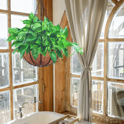 Hanging Planters Basket Outdoor Indoor(14 inch 4 Pack)-Coconut Coir Hanging Baskets for Plants Outdoor,Metal Wire Baskets with Coco Liner Window Box Planters, hanging Flower Pots For Railings…