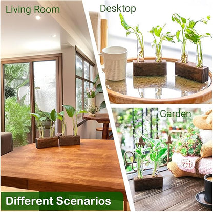 Propagation Station, Plants Terrarium, Plants Lover Gifts for Women,Plant Cutting Holder Home décor,Gifts for Women,House Warming New Home-4 Tubes-Brown