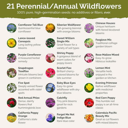 Eden Brothers Partial Shade Wildflower Mixed Seeds for Planting, 10 lb, 4,800,000+ Seeds with Sweet William, Foxglove | Attracts Pollinators, Plant in Spring or Fall, Zones 3, 4, 5, 6, 7, 8, 9, 10