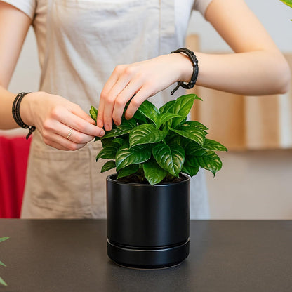 D'vine Dev 4.7 Inch & 6.5 Inch Ceramic Planter Pots for Plants with Drainage Hole and Saucer, Small Plant Pots Set, Black, 94-G-S-2