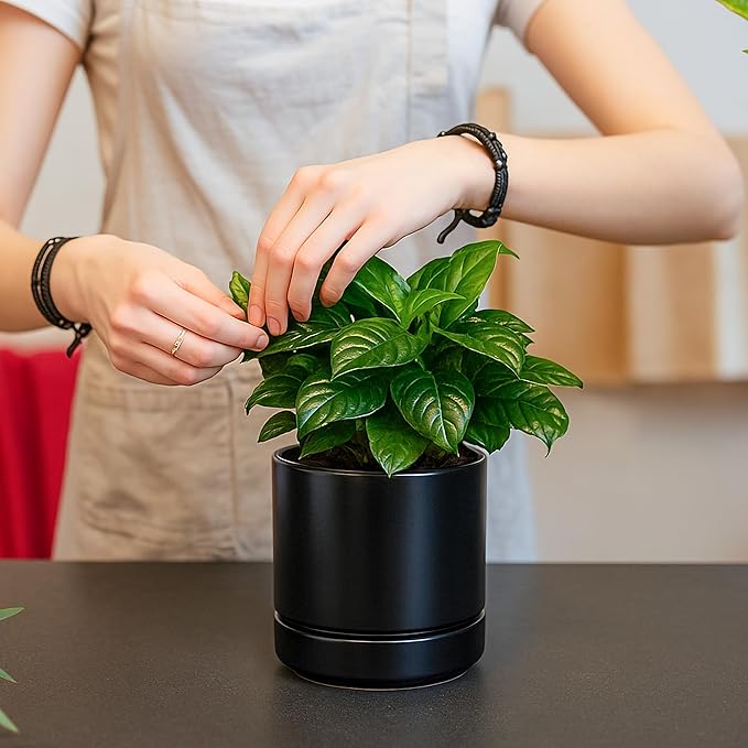 D'vine Dev Set of 2 Plants Pot, 4.7 Inch Ceramic Planter Pot for Plants with Drainage Hole and Saucer, Black, 94-V-B-2