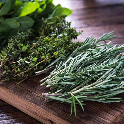 Culinary Indoor Herb Garden Starter Kit | Deluxe Herb Seeds | 12 Non-GMO Varieties | Grow Cooking Herbs & Spices | Seeds: Cilantro, Arugula, Thyme, Sage, Chives, Dill, Basil, More