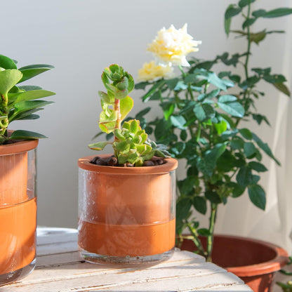 Phoenix Vine 4 Inch Self Watering Plants Pot, Design Terracotta Pot for Plants, Indoor Cylinder Terra Cotta Planter with Glass Vase, Set of 2, 51-A-E-2