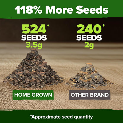 HOME GROWN 𝗨𝗦𝗔 𝗣𝗥𝗘𝗠𝗜𝗨𝗠 Zinnia Dahlia Seeds Pack for 2025 – 524 𝗡𝗢𝗡-𝗚𝗠𝗢 Flower Seeds | Vibrant Zinnia Elegans for Pollinator Gardens, Borders & Containers | Easy-to-Grow Outdoor Blooms