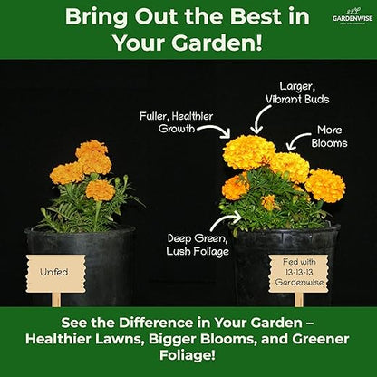 13-13-13 Slow Release Granular Fertilizer – All Purpose Plant Food 13 13 13 for Outdoor Grass, Vegetables, Roses, Flowers, Shrubs, Trees. Lawns, Gardens, Potted Plants (5 quarts)