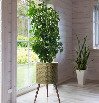 D'vine Dev 16 Inch Modern Geometric Tile Patterned Sleek Planter Pot with Stand, Indoor Outdoor Decorative Plant Holder, Distressed Olive, 88-Z-E-4