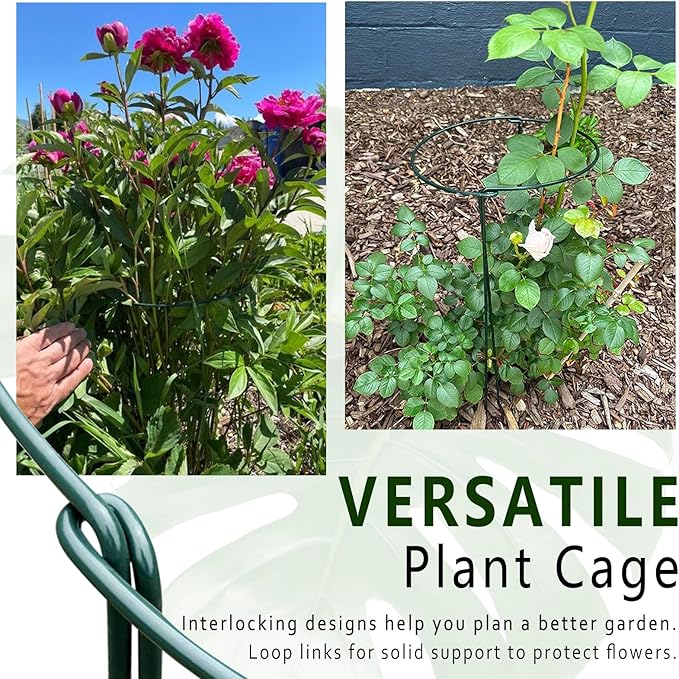 6 Pack Plant Support Stakes, Metal Monstera Plant Support Stakes for Indoor Plants, Large Garden Plant Support Ring, Tomato Cage, Tall Plant Holder Sticks (10" W X 15.8" H)