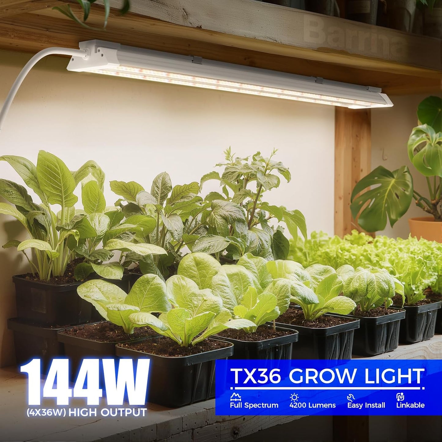 Barrina TX36 2FT Grow Light, 144W(4 x 36W, 800W Equivalent), High PPFD, Full Spectrum, Mechanical Timer, Hanging Plant Lights for Indoor Growing, Seedlings with On/Off Switch, Linkable, 4 Packs