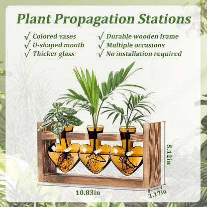 Lifecapido Heart Shaped Propagation Stations, Plant Terrarium with Wooden Stand, Plant Propagation Station for Hydroponics Plants Office Garden Home Decor, Gifts for Women Plant Lover (3 Vases, Amber)