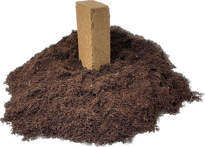 Seed Needs, Basil Seed Packet Collection Seed Starting Bundle (Includes 8 Individual Seed Packets, 36 Starter Pots & 1 Expandable Coco Coir Brick) Heirloom, Non-GMO & Untreated