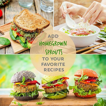 4 Oz - Handy Pantry 5 Part Salad Sprout Mix - Organic Non-GMO Mixed Seeds - Organic Broccoli Sprouting Seeds, Radish Sprout Seeds, Alfalfa Sprout Seeds, Lentil Seeds, and Mung Bean Seeds for Sprouting