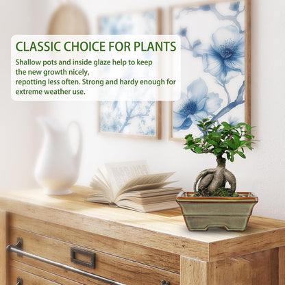 Ceramic Bonsai Pots with Drainage Hole, Set of 2 Rectangular Glazed Bonsai Planters for Indoor/Outdoor Use, Shallow Brown Bonzai Tree Pots for Succulent, Orchids, Cacti, Home, Patio, Garden, 6.3"x4.9"