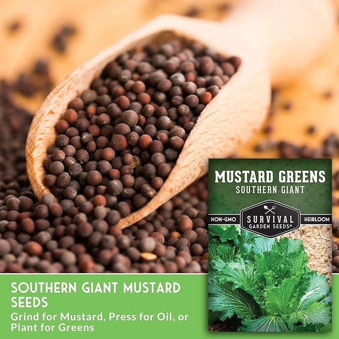 Southern Giant Mustard Green Seeds for Planting – Heirloom Non-GMO Spicy Greens, Heat Tolerant and Slow to Bolt for Home Vegetable Gardens - Survival Garden Seeds (3 Packs)