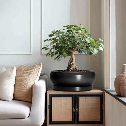 Bonsai Pots 13 Inch - Large Ceramic Succulent Pots with Drainage Hole and Tray, Round Planter Bowl Indoor Outdoor, Modern Shallow Planters, Home Living Room Decor, Gardening Gifts, Black