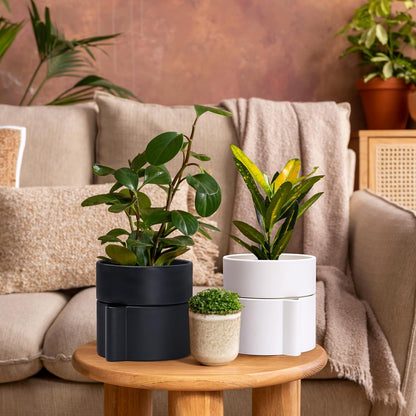 Phoenix Vine 8 Inch Self-Watering Planter Pot with Terracotta Insert, Deep Water Reservoir, and Ceramic-Alike BPA-Free Plastic Planter Pot for Plant, Modern Planter for Houseplants, White, 53-A-T-1