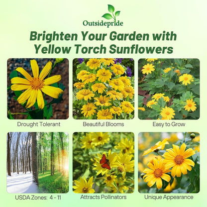 Outsidepride Yellow Torch Mexican Sunflower Seeds - 1000 Pcs Annual, Easy-to-Grow, Yellow Tithonia Speciosa Flower Seeds w/Drought-Tolerant Blooms for Pollinator Gardens & Vibrant Summer Landscaping