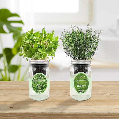 2-Pack Hydroponic Mason Jar Herb Garden Kit, Indoor Herb Garden Self-Watering Starter Kit (Thyme,Thai Basil)