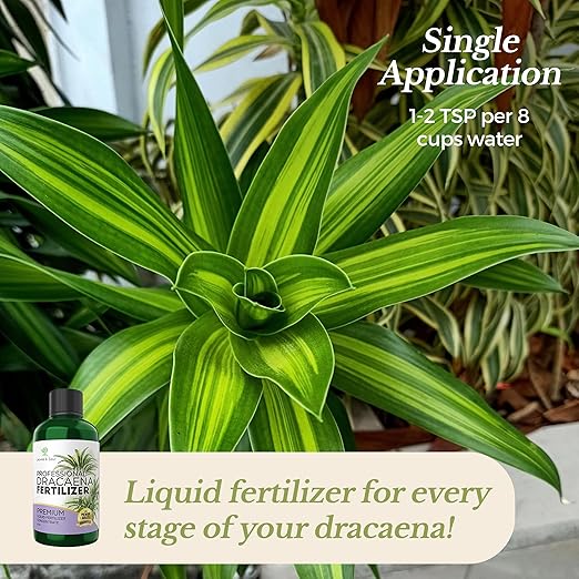 Professional Liquid Dracaena Plant Fertilizer | 3-1-2 Concentrate for Indoor Plants | Multi-Purpose Blend & Gardening Supplies | 8 oz Bottle
