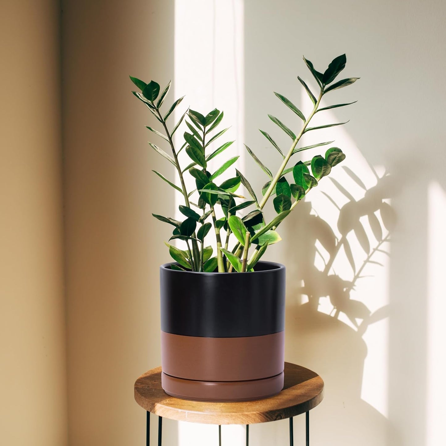 D'vine Dev 6.5 Inch & 8.2 Inch Ceramic Planter Pots for Plants with Drainage Hole and Saucer, Medium Plant Pots Set, Black/Speckled Tan, 94-G-M-7