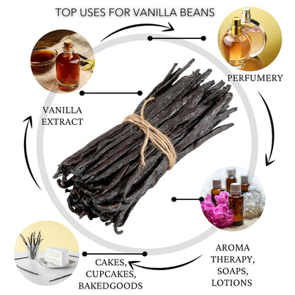 Slofoodgroup Gourmet Vanilla Beans, 8 Ounces Grade A Ugandan Vanilla Pods, Vanilla Beans For Cooking, Baking and Homemade Vanilla Extract